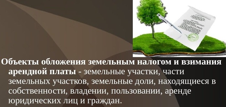 Как получить землю в аренду у администрации без аукциона