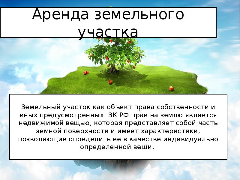 Как получить землю в аренду у администрации без аукциона